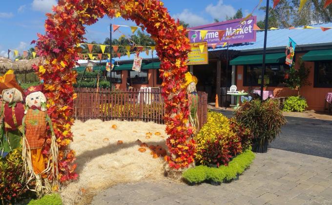 Flamingo Road Nursery