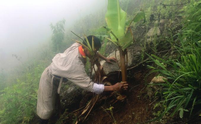Social Forestry Day