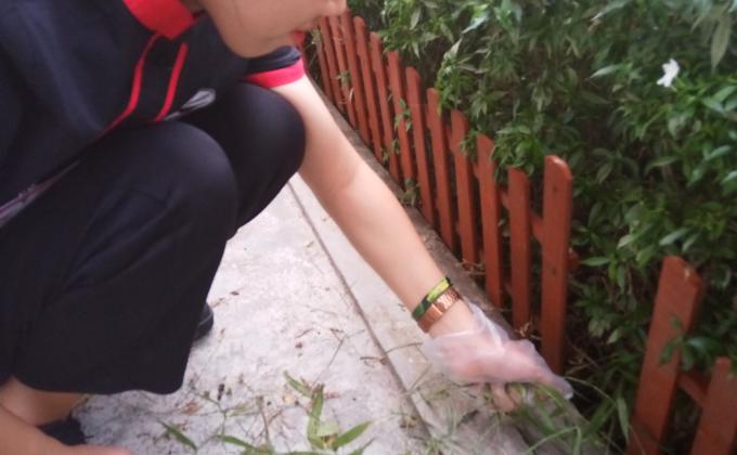 ถอนหญ้าา