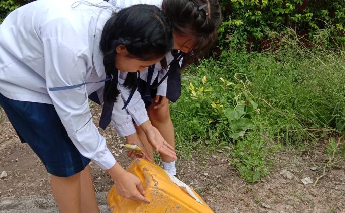 กำจัดแหล่งพาหะนำโรคระบาดโรคไข้เลือกออก