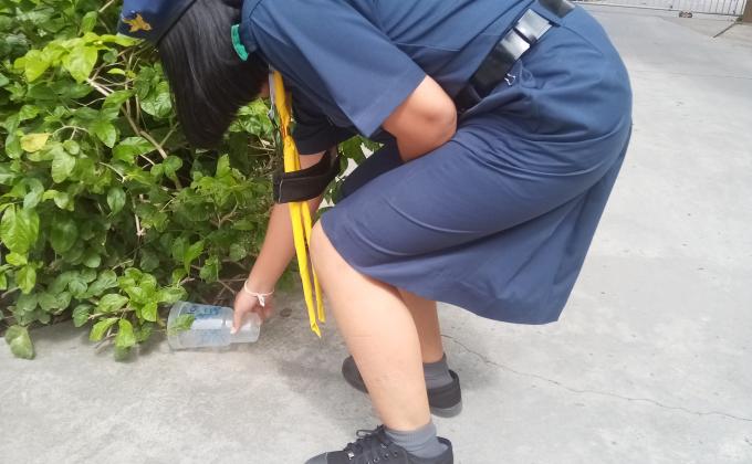 กิจกรรมเก็บขยะ