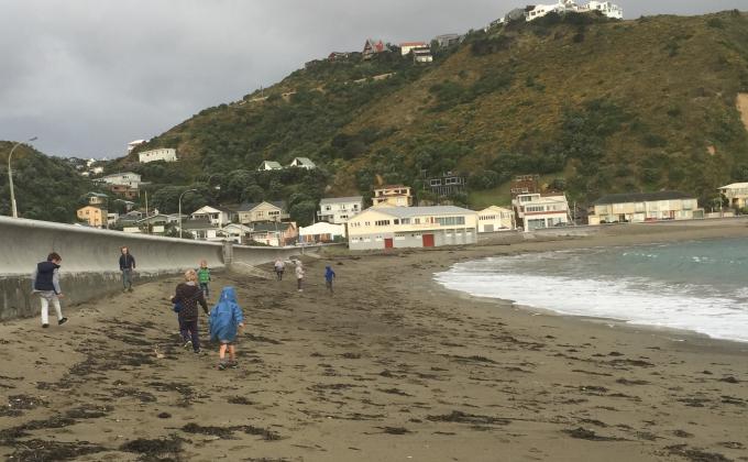 Kea Scouts Beach Clean Up