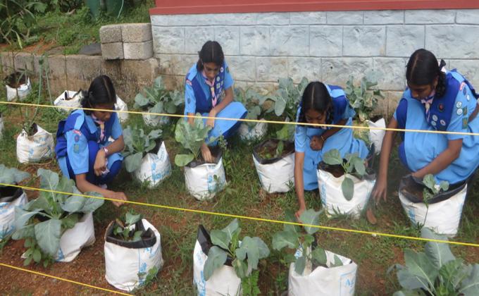 environmental sustainability