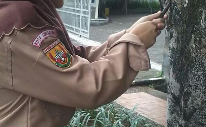 200 Reading Volunteers of PRABUHI-Sukabumi Team Pulling out Nails from Trees