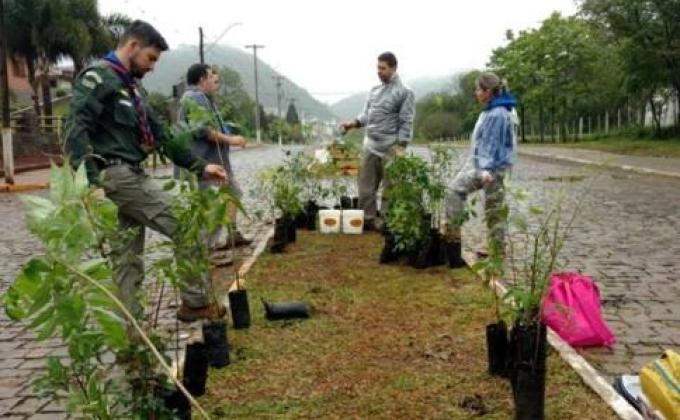 Plantio de Árvores na Perimetral Leste