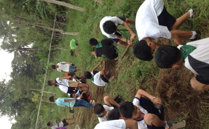 SMES SCHOOL GARDEN
