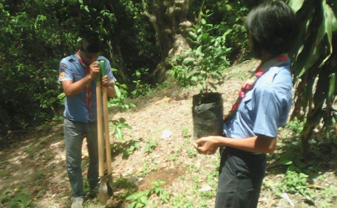 Reforestacio prinera parte