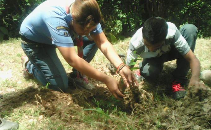 Reforestacion segunda parte