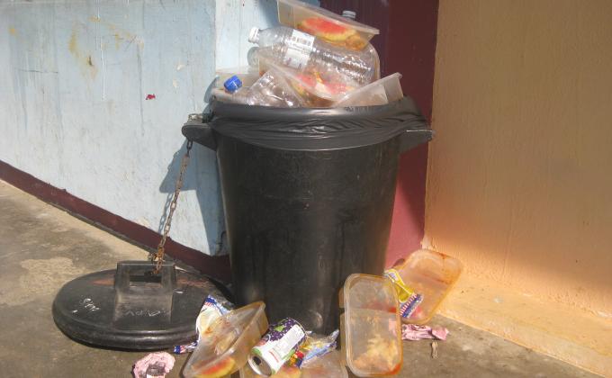 Double Xtras Dustbin