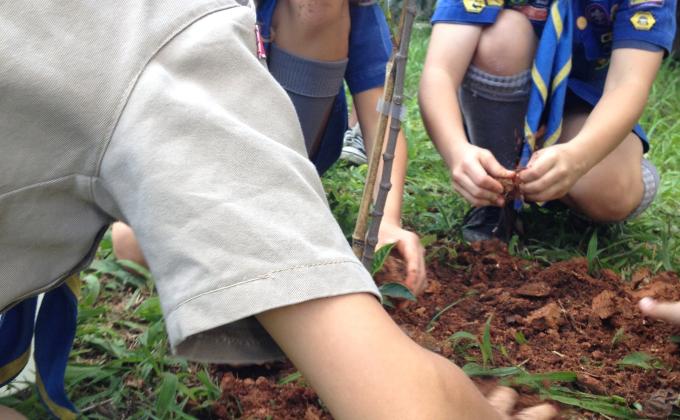 Plantio de árvores do projeto Trees for the World - MUTECO 2015