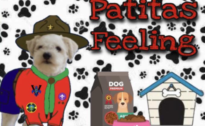 Proyecto Rover Horquilla Roja Vocación (Patitas Feelings)