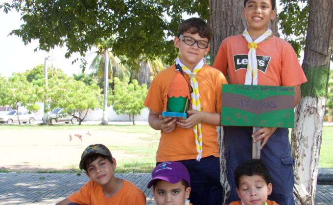 pajareras, comederos y bebederos ecológicos  