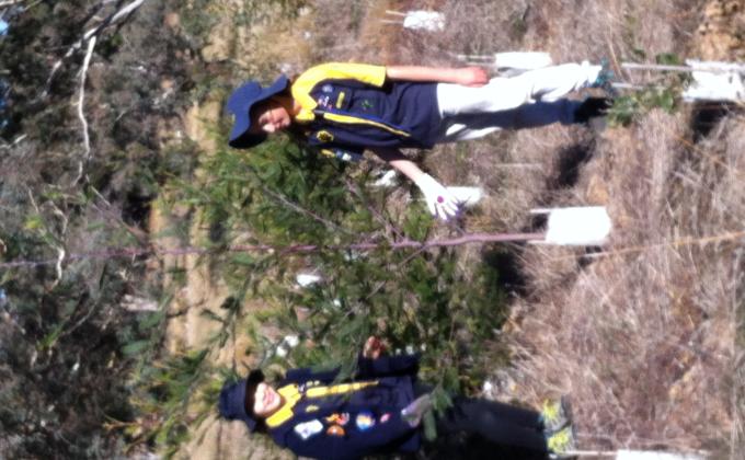 Tree Planting/ Bush Regeneration