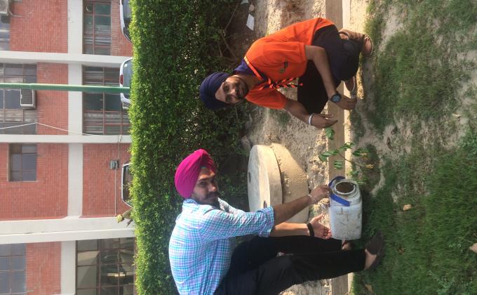Tree Plantation 
