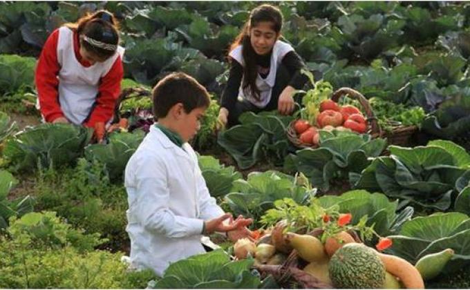 "Urban Agriculture"