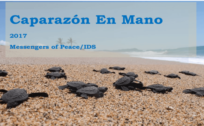Caparazón en mano