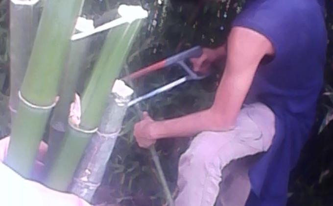 Humanos y animales miembros de un mismo ecosistema