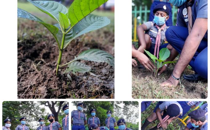 An action towards Climate Action & Life On Land