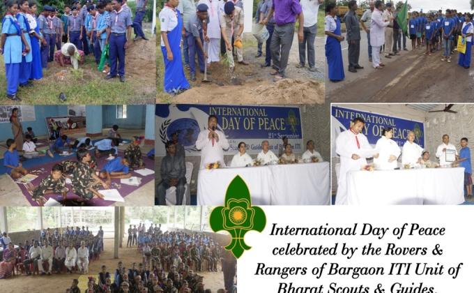 Observance of International Day of Peace