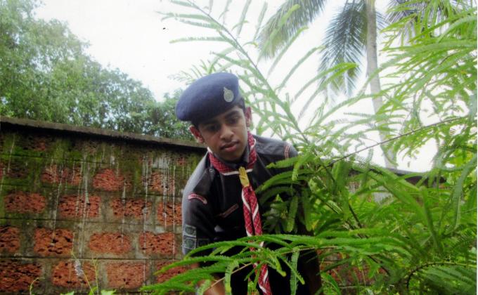 PRESERVATION OF GREENARY 