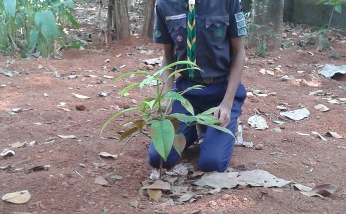 PRESERVATION OF GREENARY 