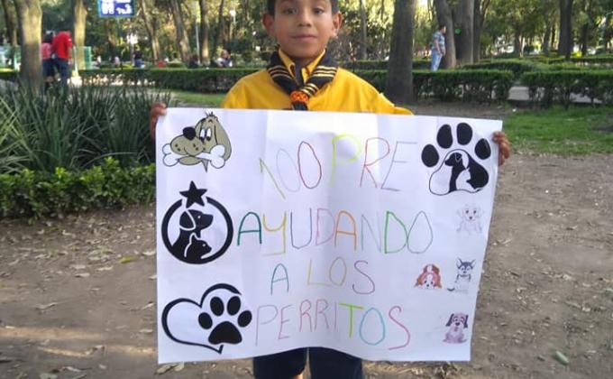 100pre ayudando a los perritos
