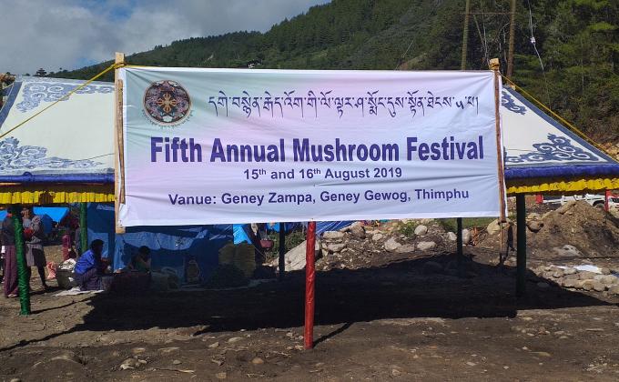cleaning campaign at Annual Mushroom festival