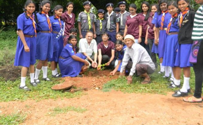 Plantation of sapplings 