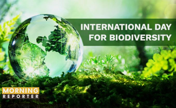 विश्व जैव विविधता दिवस पर पशु पक्षियों के चुग्गा दाना और परिंडे लगाए ।