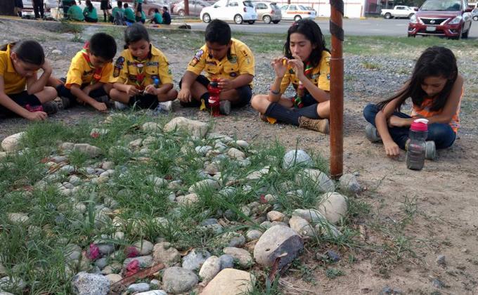 Proyecto Insignia Go SOLAR, Manada del 33