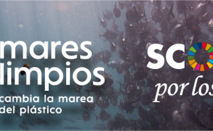 MARES LIMPIOS