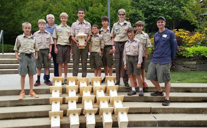 Brown-headed Nuthatches Need a Good Home