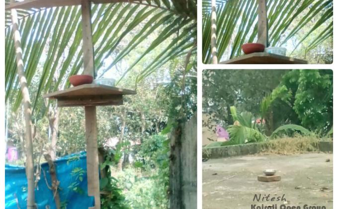 A Drop of water to Birds