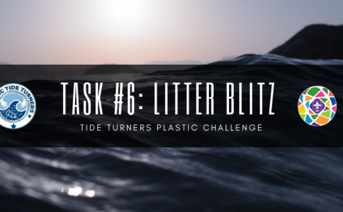 LITTER BLITZ