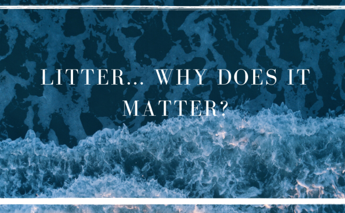 Litter... Why Does It Matter? (TTPC)