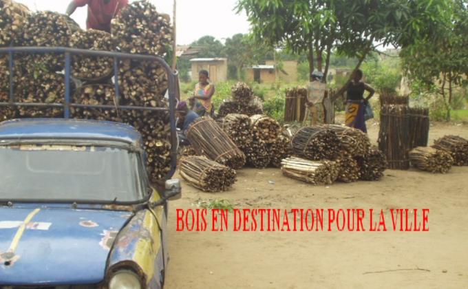 PROTECTION DE LA BIODIVERSITE