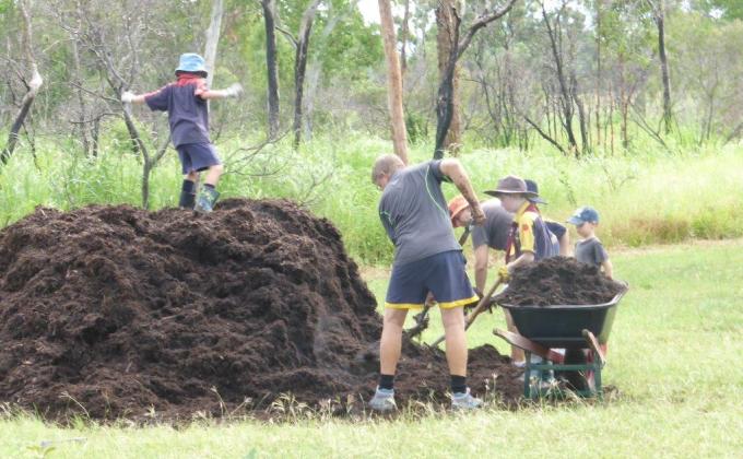 Tree Planting [ Townsville City Council]