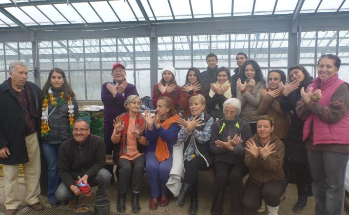 Hundreds of Acorns getting ready to became tree