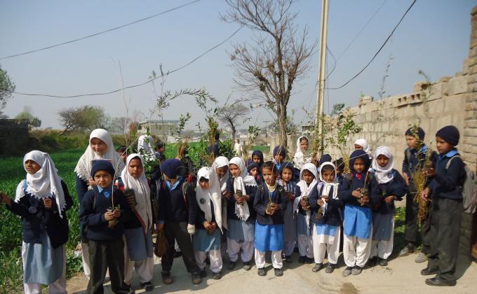 Fruit tree Plantation 