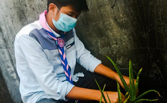 Tree Plantation 2020