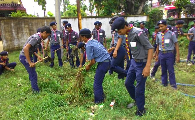 cleaning of garden 