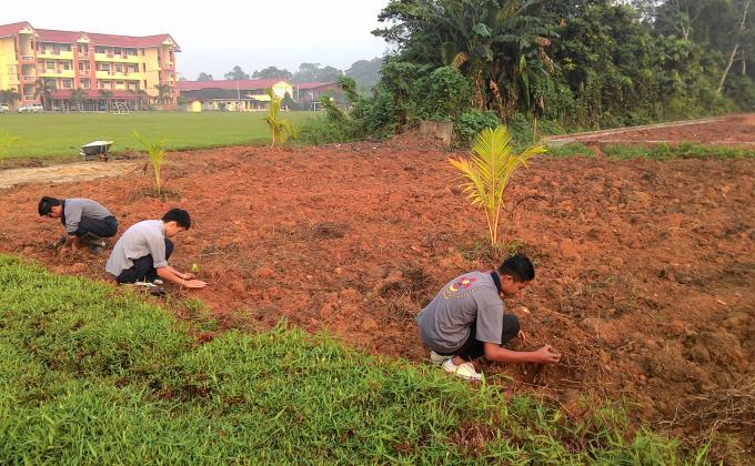 Menanam Pokok Pisang.