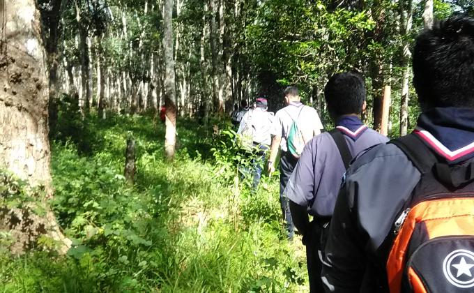 Kem di keplu kodiang