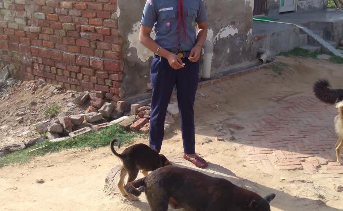 In this project,Me and my friends provided food to street Dogs so they do not die because of hunger.
