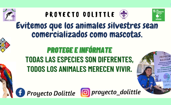 Proyecto Dolittle 