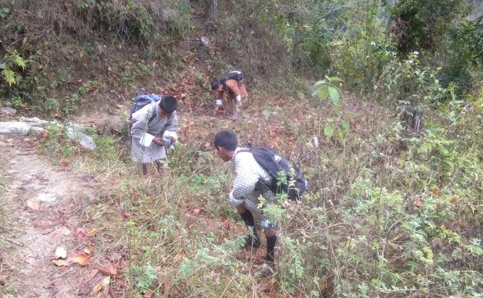 Adoption of community path