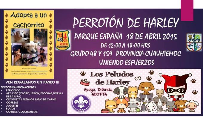El Perroton de Harley