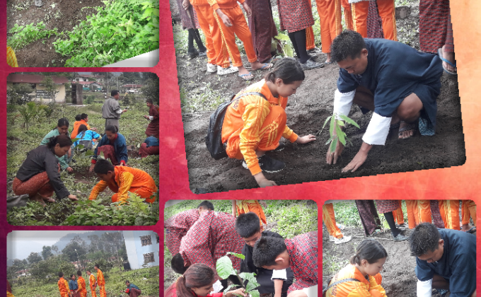 Green Bhutan through plantation 