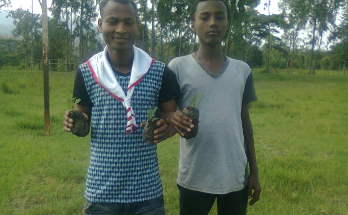 Tree planting
