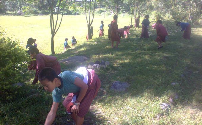 Making the school green and peace